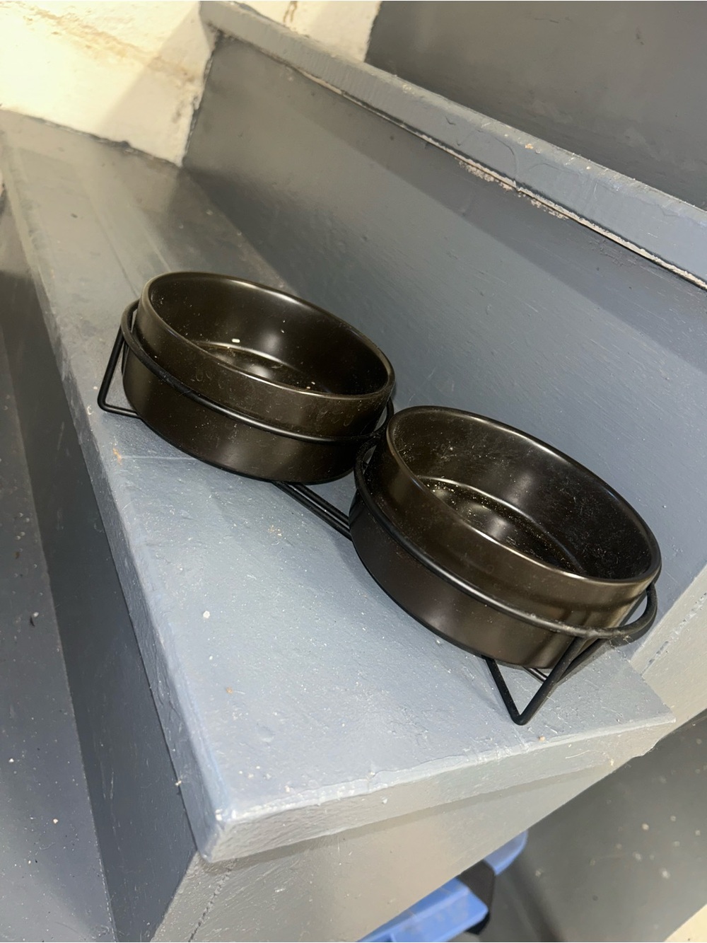 Classic Black Double Pet Feeder with Elevated Stand